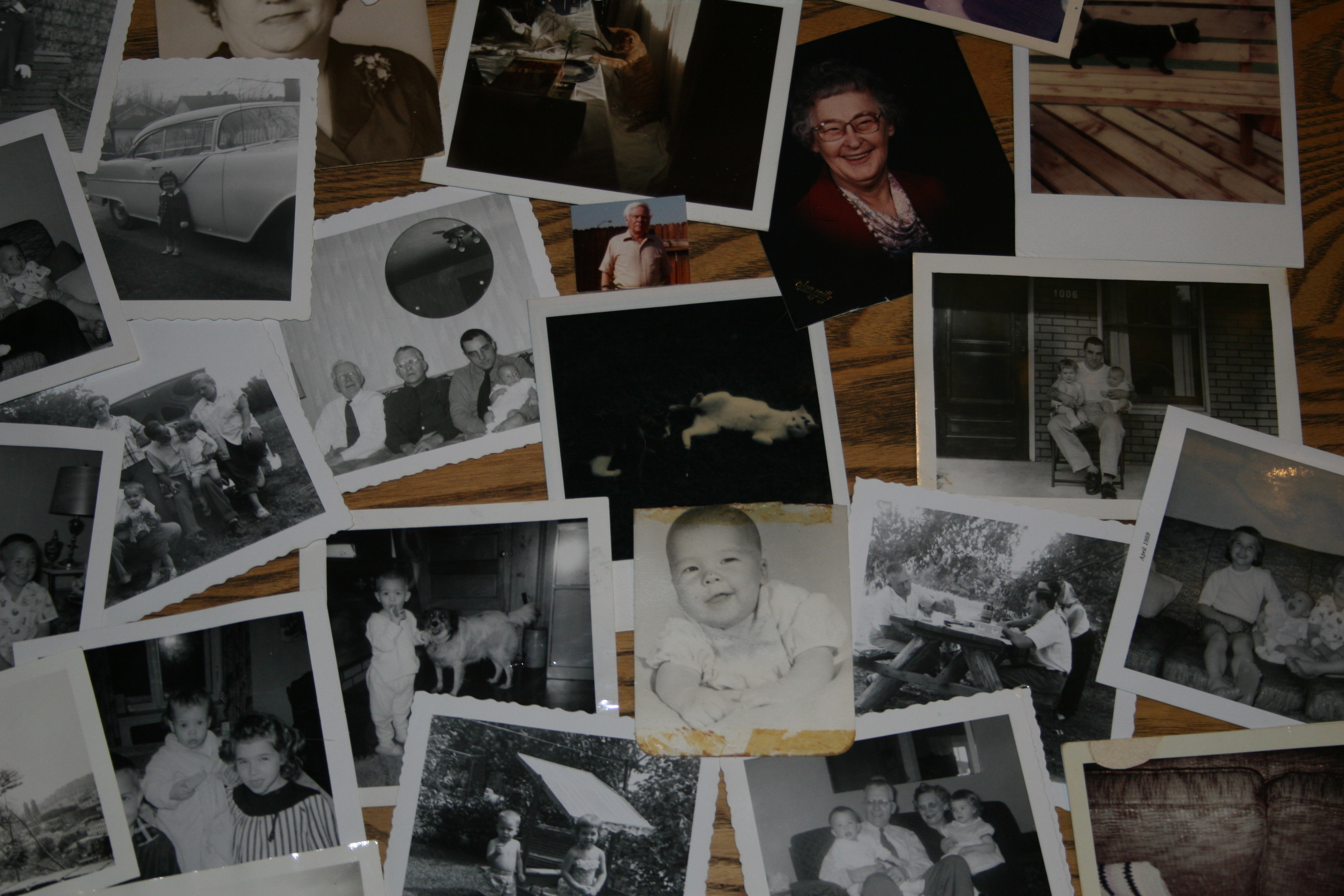 photographs